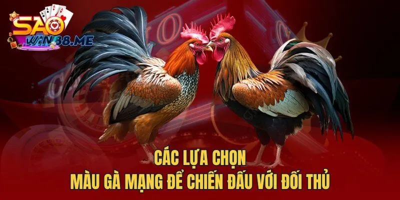 Các lựa chọn màu gà mạng để chiến đấu với đối thủ