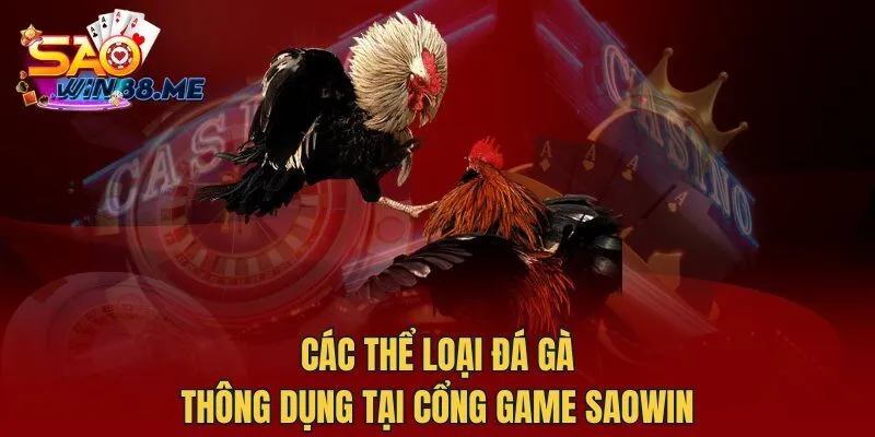 Các loại đá gà thông dụng tại cổng game Saowin