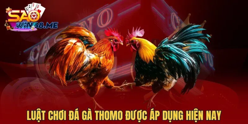 Luật chơi đá gà Thomo được áp dụng hiện nay